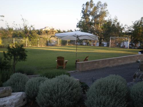 giardino Loft Open Space