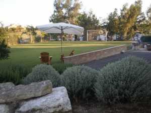 Parco Giardino Esterno