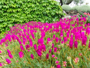 fioriera esterna