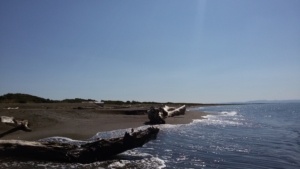 Spiaggia libera delle murelle Marina di Montalto