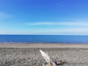 bed and breakfast al mare in campagna Montalto Marina