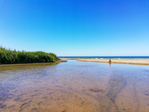 Murelle spiaggia libera
