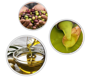 olio-img (1)