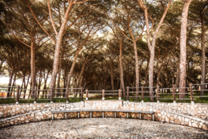 pineta a montalto marina