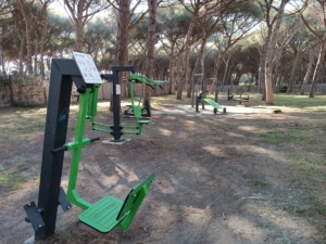 pineta atrrezzata per fitens
