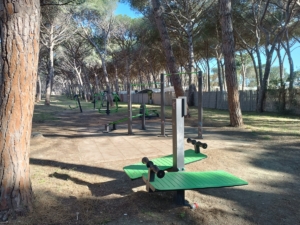 pineta attrezzata per fitnes