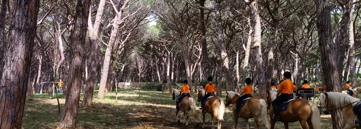 Pineta comunale zanette montalto