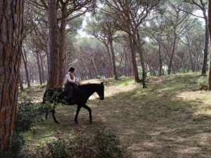 Pineta montalto BB