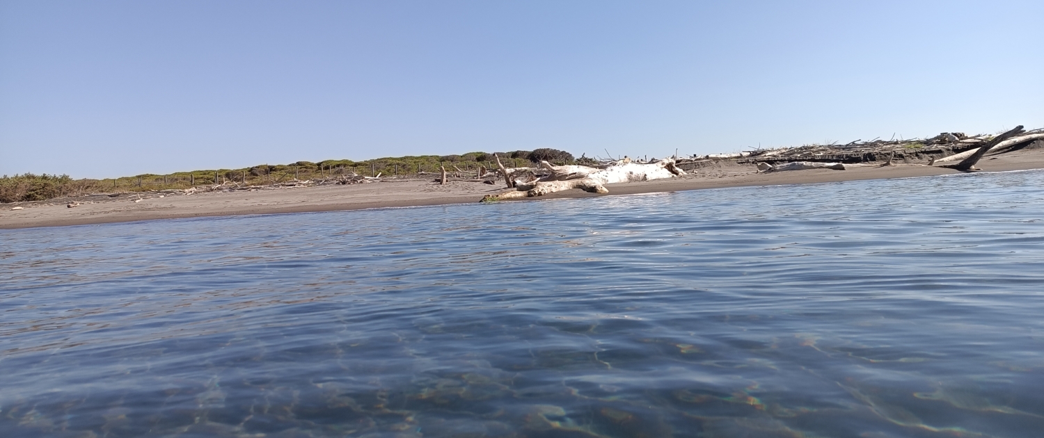 spiaggia incontaminata capalbio