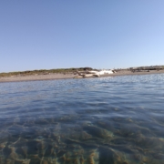 spiaggia incontaminata capalbio